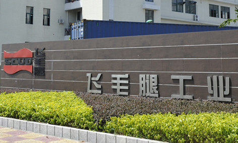 飞毛腿（福建）电子有限公司