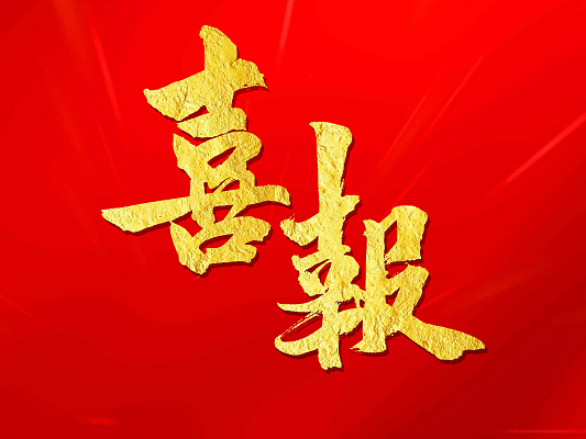 祝贺:德仕集团成为山东省民营高成长企业代表